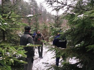 Obraz przedstawia policjantów  i leśników w kompleksie leśnym