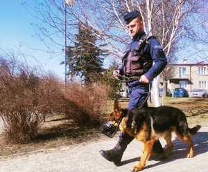 obraz przedstawia policjanta z psem